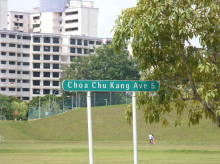 Blk 476A Choa Chu Kang Avenue 5 (S)681476 #80852